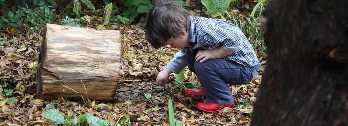 The World Is Your Canvas. Using Outdoor Play To Promote Creativity